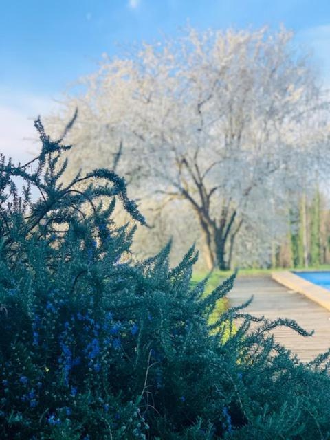 Hotel La Maison D' hote du Fond Du Riu à Allemans-du-Dropt Extérieur photo